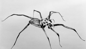 Spider | Emma Strangwayes-Booth